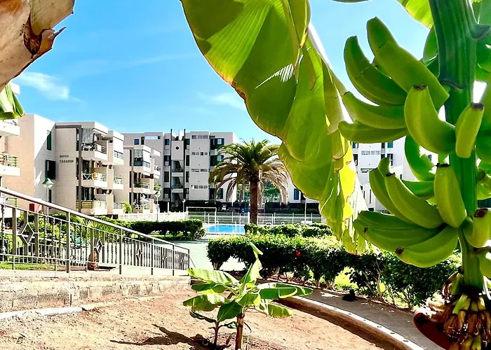 Vinas Апартаменты Плая-де-лас-Америкас