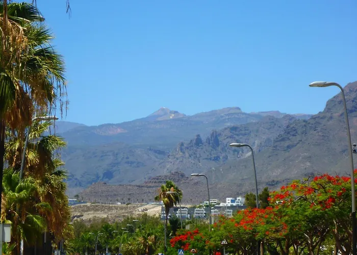 Апартаменты Vinas *