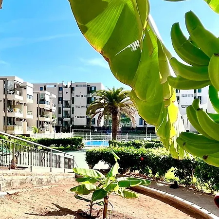 Vinas Apartamento Playa de las Americas (Tenerife)